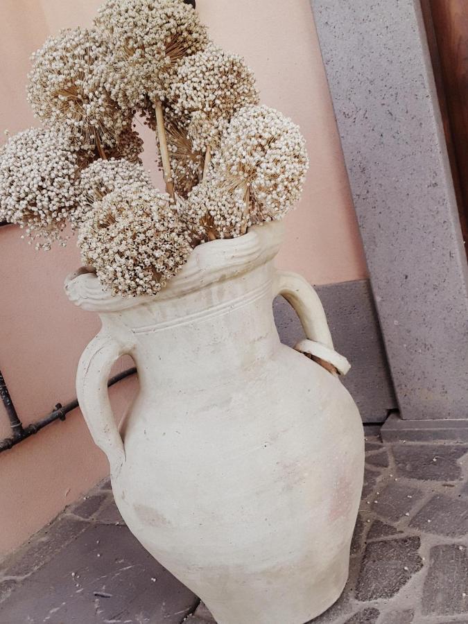 Porano B&B La Lumachella מראה חיצוני תמונה